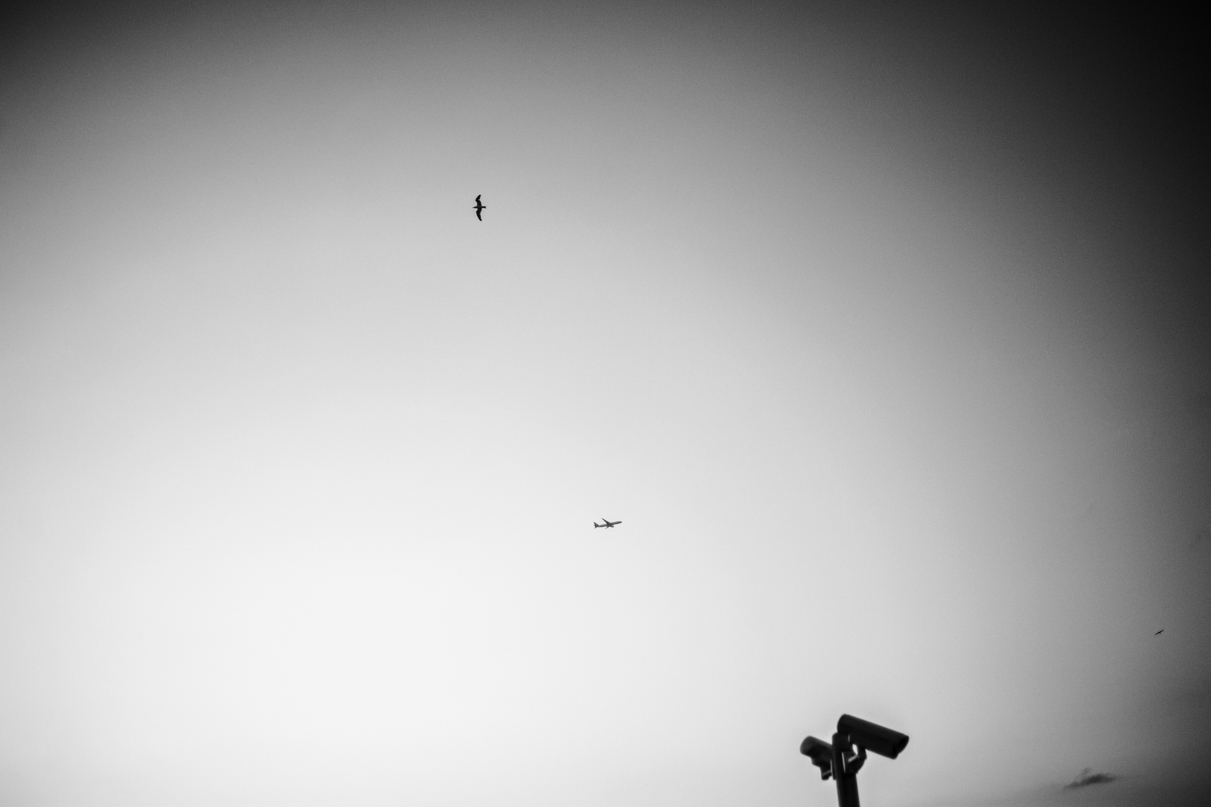 Image 26
